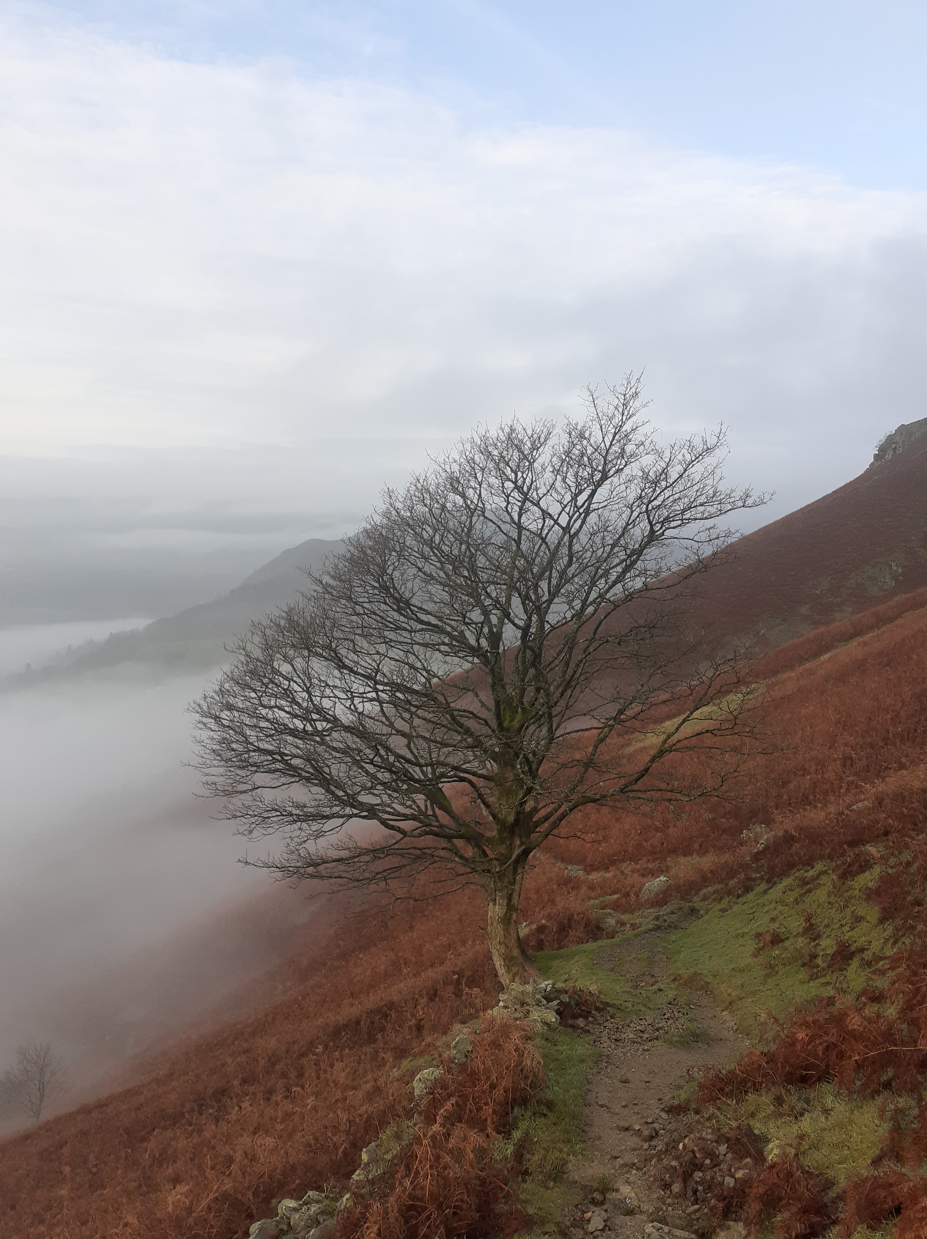 hiking trail from Grasmere Lakeland