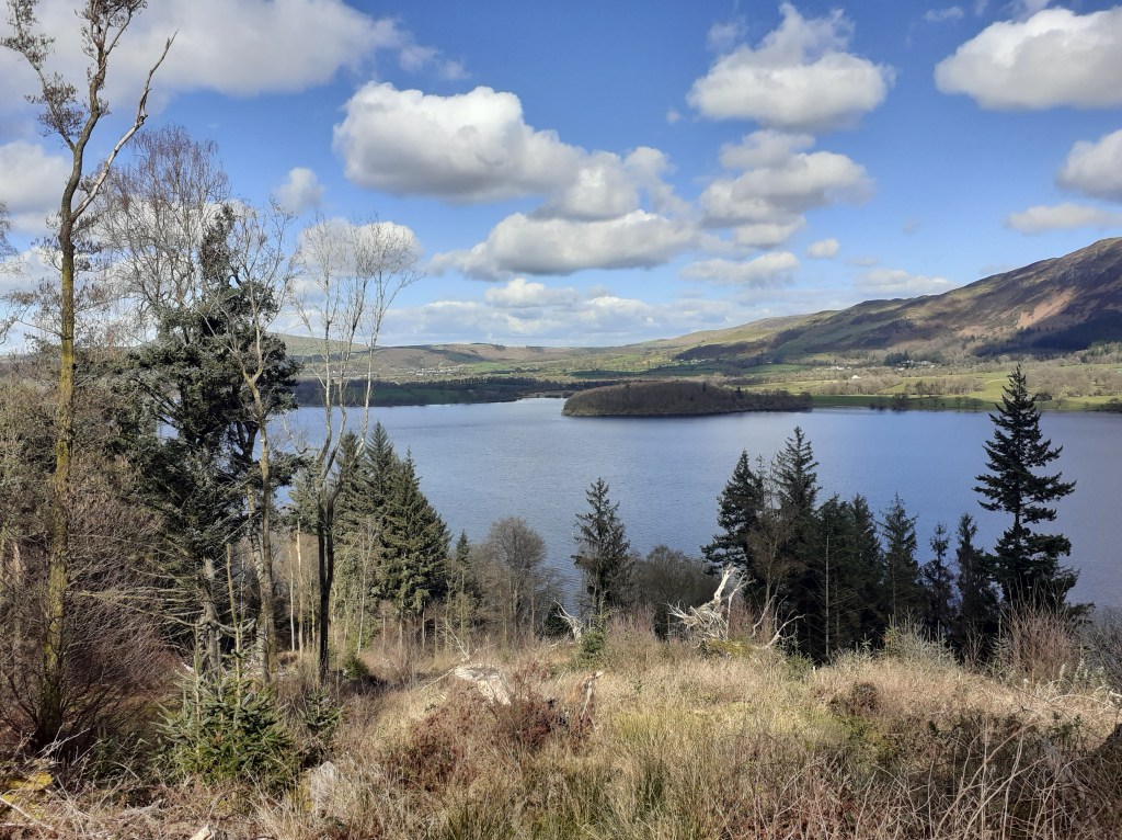 scandinavian style image of lake in the forest
