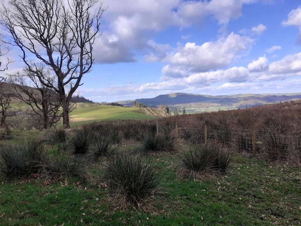 summer landscape of northern lake district